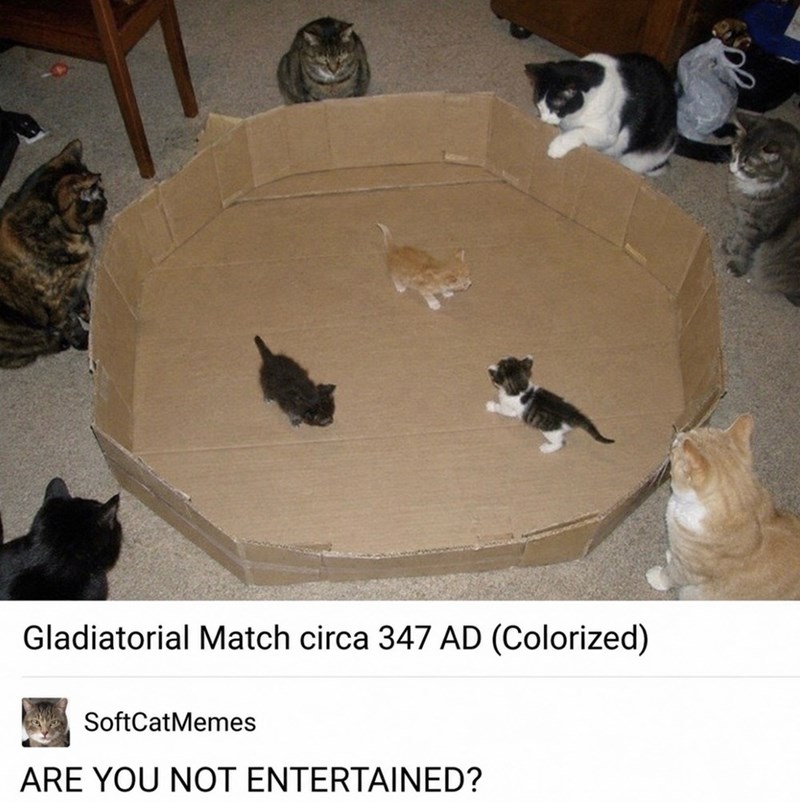 Gladiatorial Match circa 347 AD (Colorized) SoftCatMemes ARE YOU NOT ENTERTAINED?