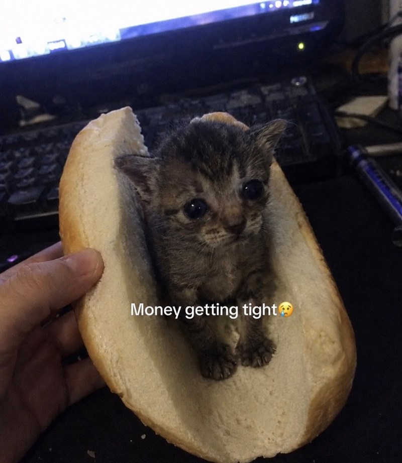 Money getting tight