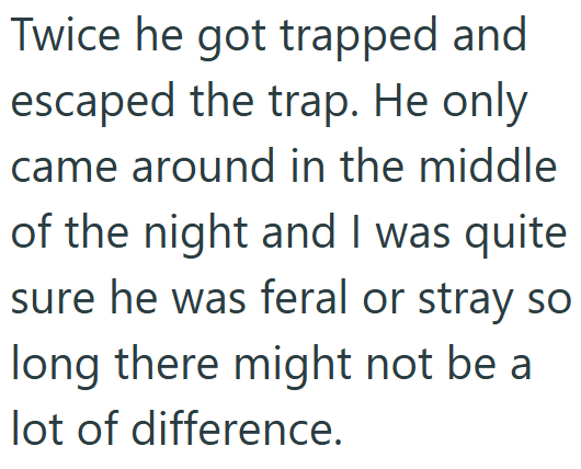 Twice he got trapped and escaped the trap. He only came around in the middle of the night and I was quite sure he was feral or stray so long there might not be a lot of difference.