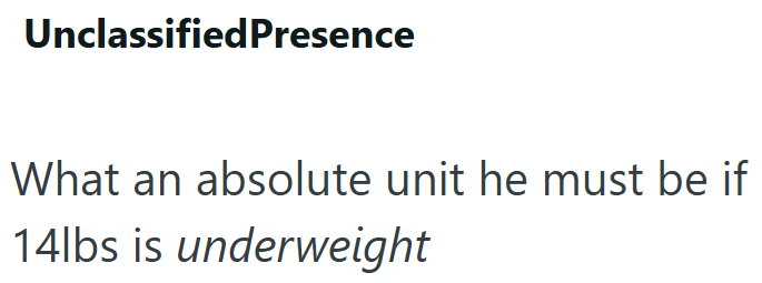 Unclassified Presence What an absolute unit he must be if 14lbs is underweight