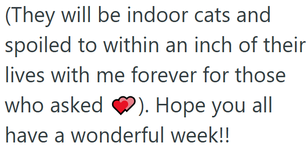 (They will be indoor cats and spoiled to within an inch of their lives with me forever for those who asked ). Hope you all have a wonderful week!!
