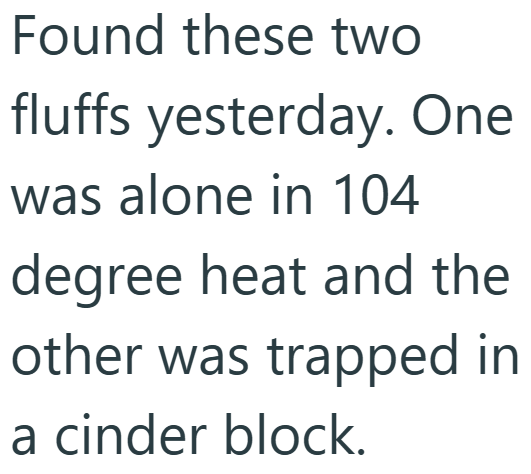 Found these two fluffs yesterday. One was alone in 104 degree heat and the other was trapped in a cinder block.