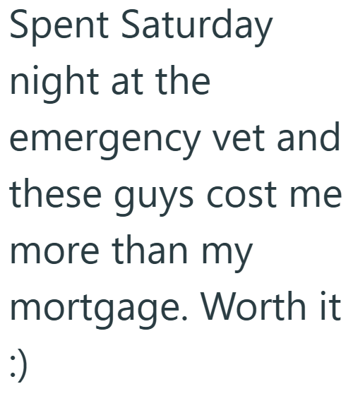 Spent Saturday night at the emergency vet and these guys cost me more than my mortgage. Worth it :)