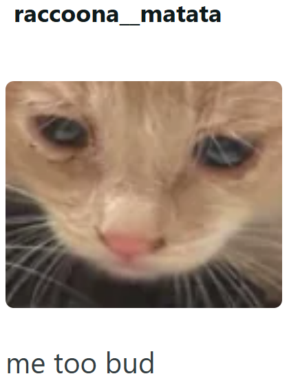 raccoona_matata me too bud