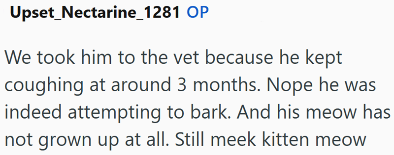 Upset_Nectarine_1281 OP We took him to the vet because he kept coughing at around 3 months. Nope he was indeed attempting to bark. And his meow has not grown up at all. Still meek kitten meow