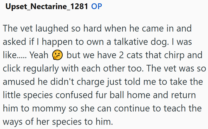 Upset_Nectarine_1281 OP The vet laughed so hard when he came in and asked if I happen to own a talkative dog. I was like...... Yeah but we have 2 cats that chirp and click regularly with each other too. The vet was so amused he didn't charge just told me to take the little species confused fur ball home and return him to mommy so she can continue to teach the ways of her species to him.