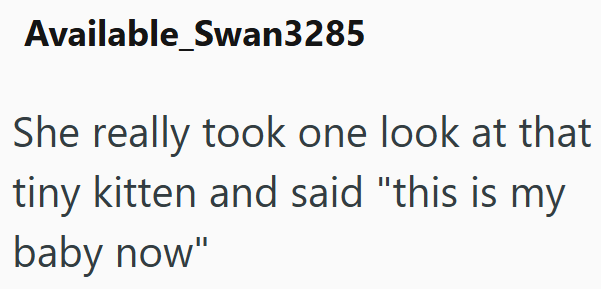 Available Swan3285 She really took one look at that tiny kitten and said "this is my baby now"