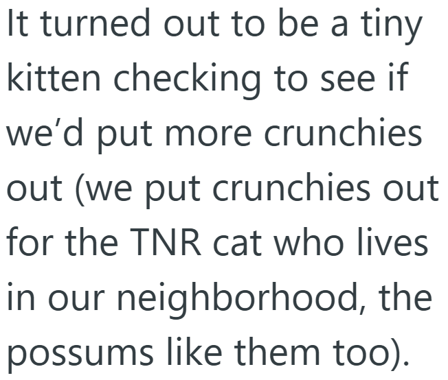 It turned out to be a tiny kitten checking to see if we'd put more crunchies out (we put crunchies out for the TNR cat who lives in our neighborhood, the possums like them too).
