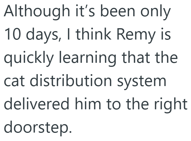 Although it's been only 10 days, I think Remy is quickly learning that the cat distribution system delivered him to the right doorstep.