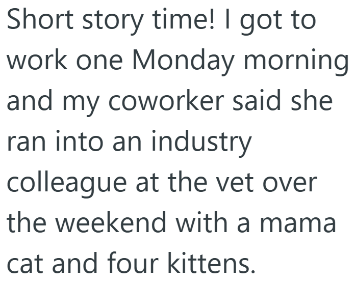 Short story time! I got to work one Monday morning and my coworker said she ran into an industry colleague at the vet over the weekend with a mama cat and four kittens.