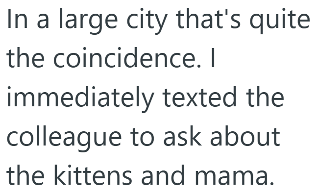 In a large city that's quite the coincidence. I immediately texted the colleague to ask about the kittens and mama.