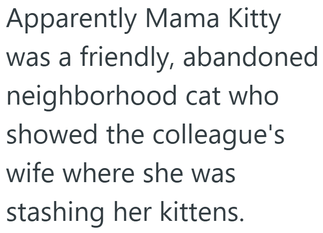 Apparently Mama Kitty was a friendly, abandoned neighborhood cat who showed the colleague's wife where she was stashing her kittens.