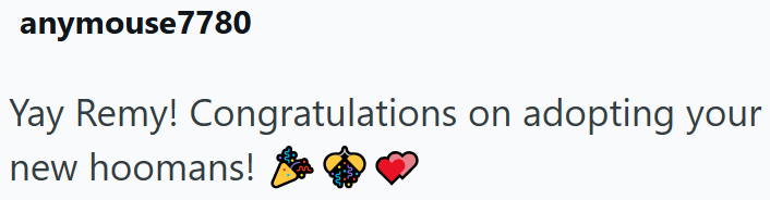 anymouse7780 Yay Remy! Congratulations on adopting your new hoomans!