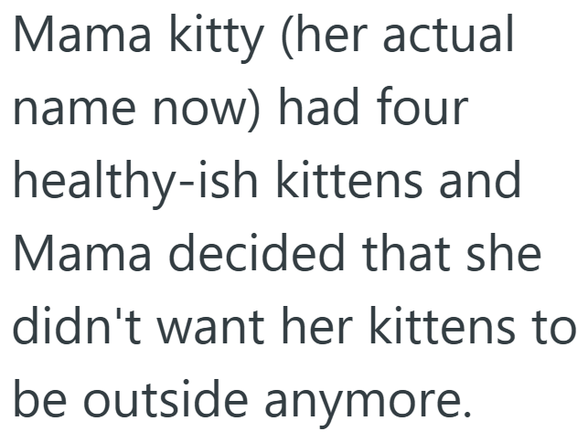 Mama kitty (her actual name now) had four healthy-ish kittens and Mama decided that she didn't want her kittens to be outside anymore.