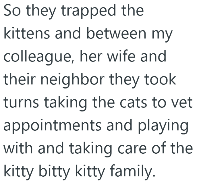 So they trapped the kittens and between my colleague, her wife and their neighbor they took turns taking the cats to vet appointments and playing with and taking care of the kitty bitty kitty family.