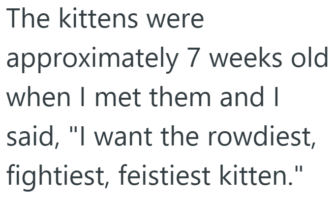 The kittens were approximately 7 weeks old when I met them and I said, "I want the rowdiest, fightiest, feistiest kitten."