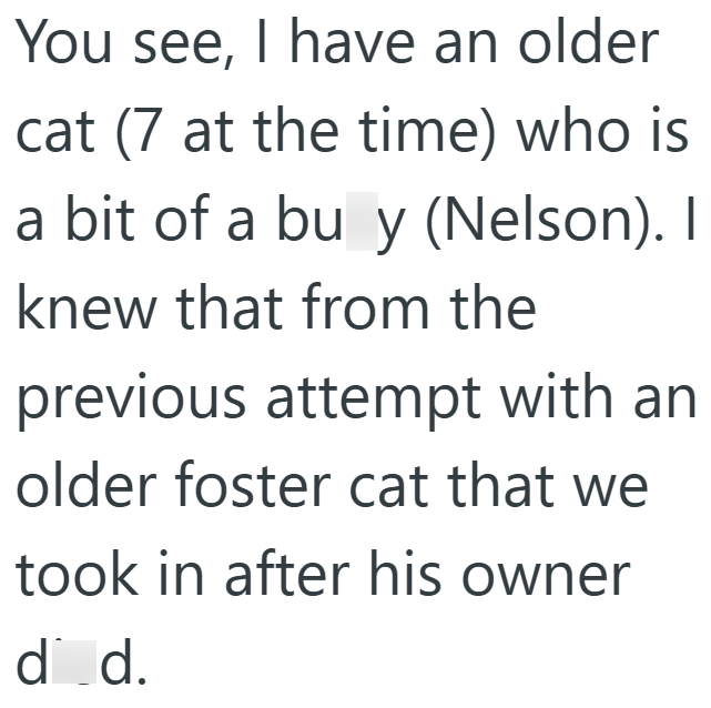 You see, I have an older cat (7 at the time) who is a bit of a bu y (Nelson). I knew that from the previous attempt with an older foster cat that we took in after his owner d_d.