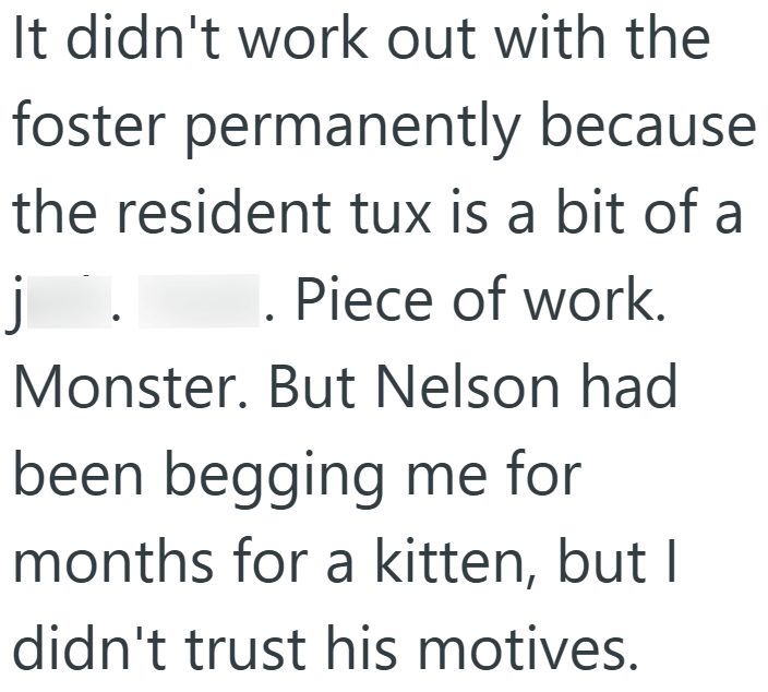 It didn't work out with the foster permanently because the resident tux is a bit of a j. Piece of work. Monster. But Nelson had been begging me for months for a kitten, but I didn't trust his motives.