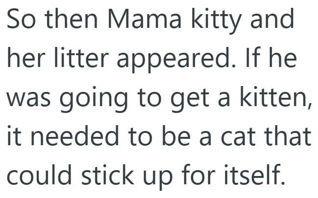 So then Mama kitty and her litter appeared. If he was going to get a kitten, it needed to be a cat that could stick up for itself.