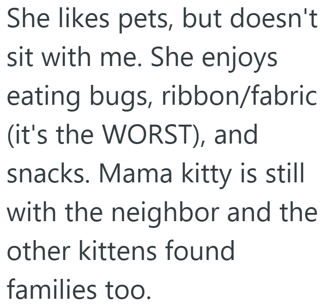 She likes pets, but doesn't sit with me. She enjoys eating bugs, ribbon/fabric (it's the WORST), and snacks. Mama kitty is still with the neighbor and the other kittens found families too.