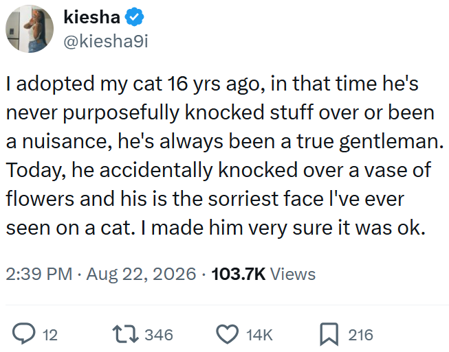 kiesha @kiesha9i I adopted my cat 16 yrs ago, in that time he's never purposefully knocked stuff over or been a nuisance, he's always been a true gentleman. Today, he accidentally knocked over a vase of flowers and his is the sorriest face I've ever seen on a cat. I made him very sure it was ok. 2:39 PM • Aug 22, 2026 103.7K Views 12 17346 14K ☐ 216