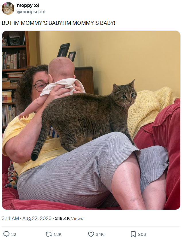 moppy :o) @moopscoot BUT IM MOMMY'S BABY! IM MOMMY'S BABY! 3:14 AM - Aug 22, 2026 - 216.4K Views 22 1.2K 34K ☐ 906