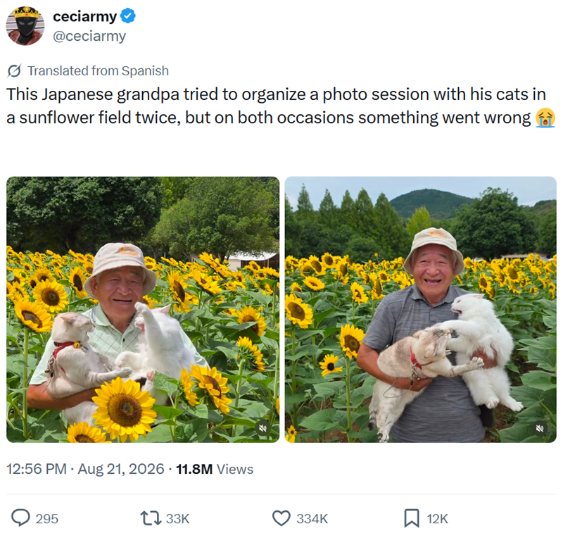 ceciarmy @ceciarmy Translated from Spanish This Japanese grandpa tried to organize a photo session with his cats in a sunflower field twice, but on both occasions something went wrong 12:56 PM - Aug 21, 2026 11.8M Views 295 1733K 334K ☐ 12K