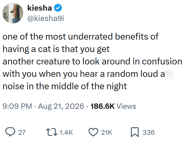 kiesha @kiesha9i one of the most underrated benefits of having a cat is that you get another creature to look around in confusion with you when you hear a random loud a noise in the middle of the night 9:09 PM • Aug 21, 2026 186.6K Views > 27 1.4K 21K ☐ 336