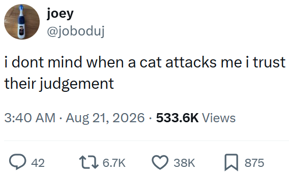 joey @joboduj i dont mind when a cat attacks me i trust their judgement 3:40 AM ⚫ Aug 21, 2026 533.6K Views 42 16.7K 38K 875