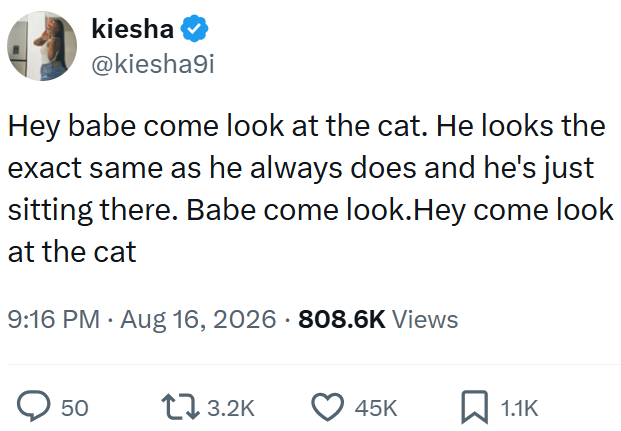 kiesha @kiesha9i Hey babe come look at the cat. He looks the exact same as he always does and he's just sitting there. Babe come look. Hey come look at the cat 9:16 PM - Aug 16, 2026 - 808.6K Views 50 173.2K 45K ☐ 1.1K