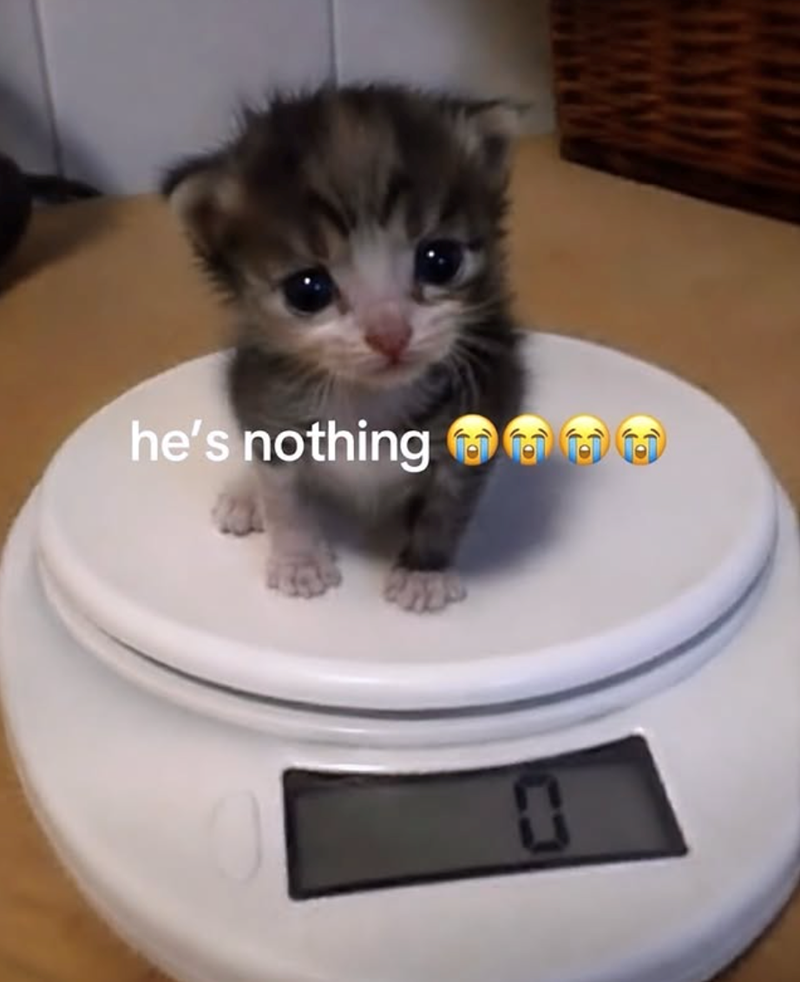 he's nothing