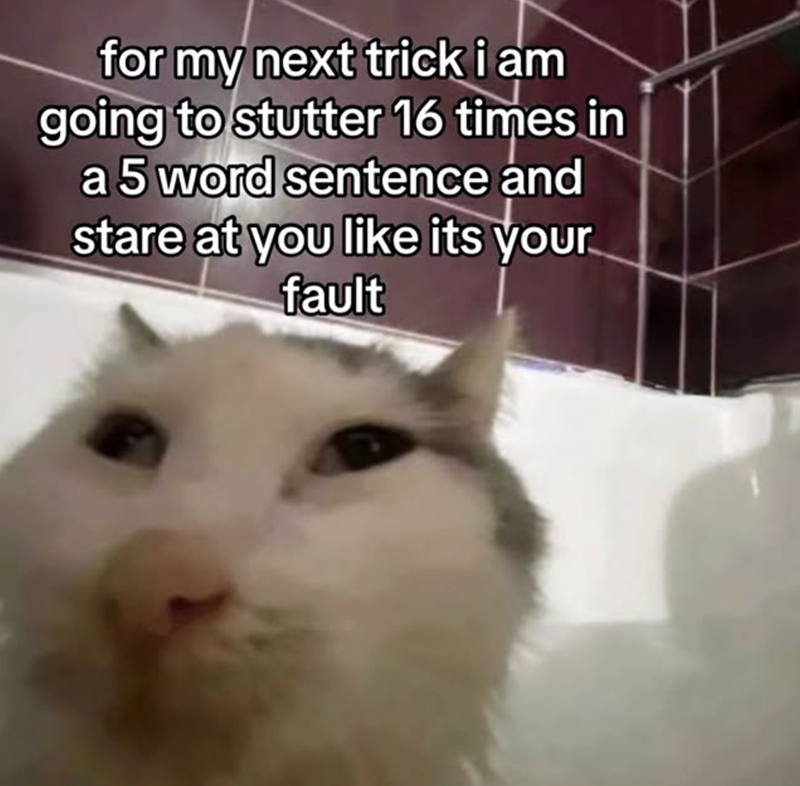 for my next trick i am going to stutter 16 times in a 5 word sentence and stare at you like its your fault