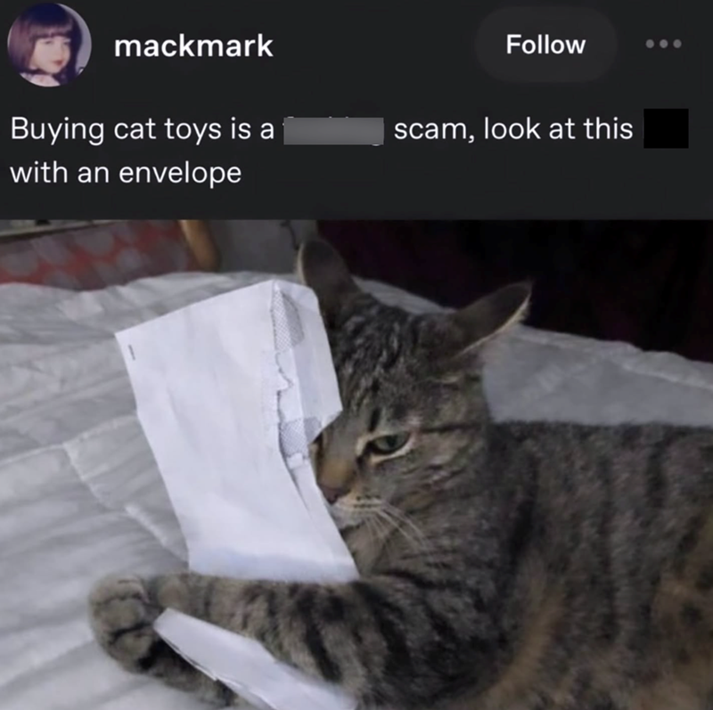 mackmark Follow Buying cat toys is a scam, look at this with an envelope
