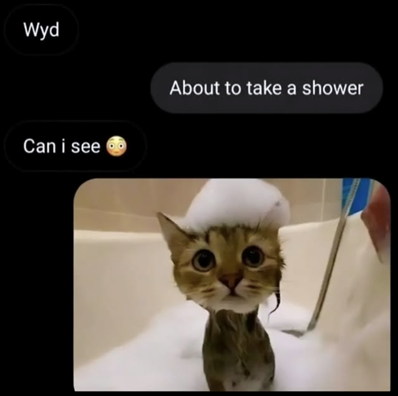 Wyd About to take a shower Can i see
