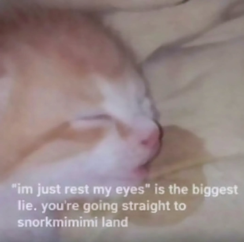 "im just rest my eyes" is the biggest lie. you're going straight to snorkmimimi land