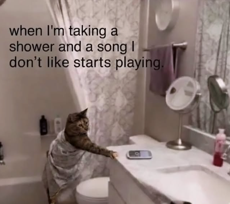 when I'm taking a shower and a song I don't like starts playing.