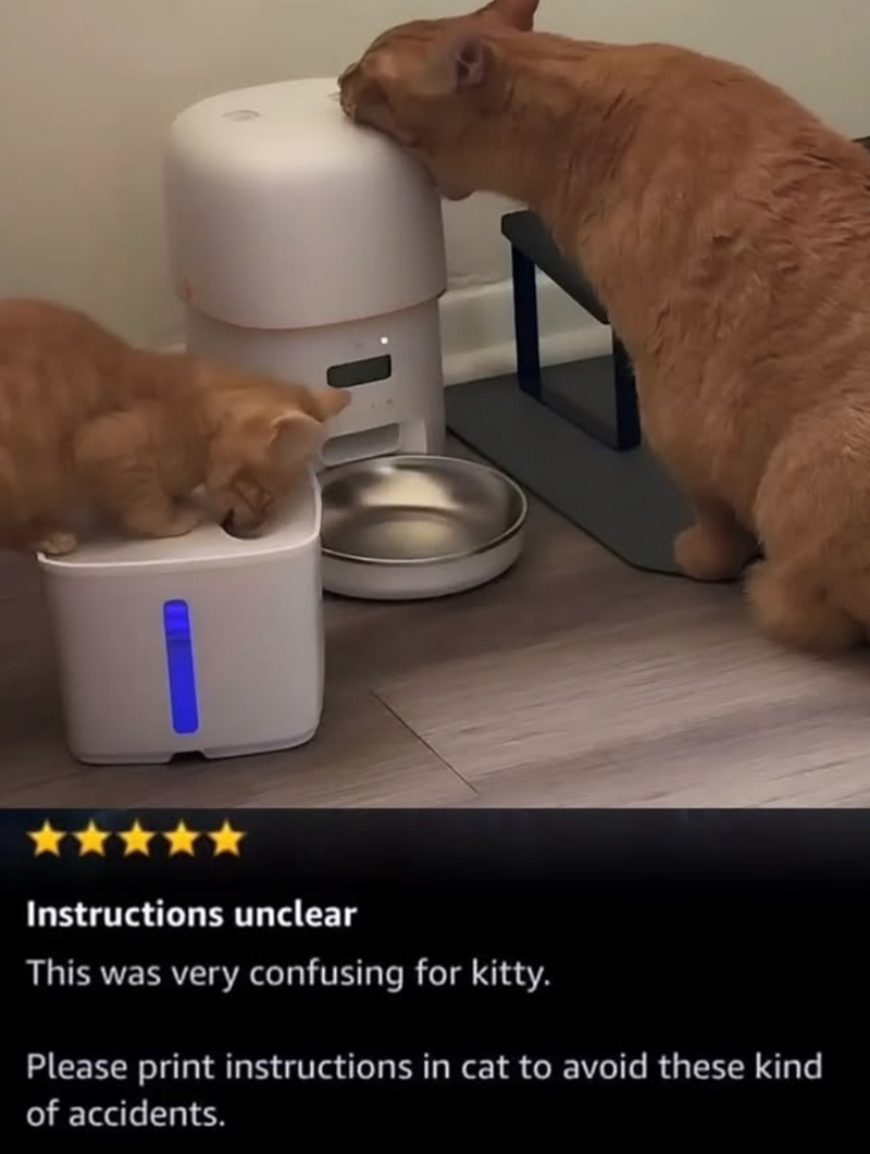 Instructions unclear This was very confusing for kitty. Please print instructions in cat to avoid these kind of accidents.