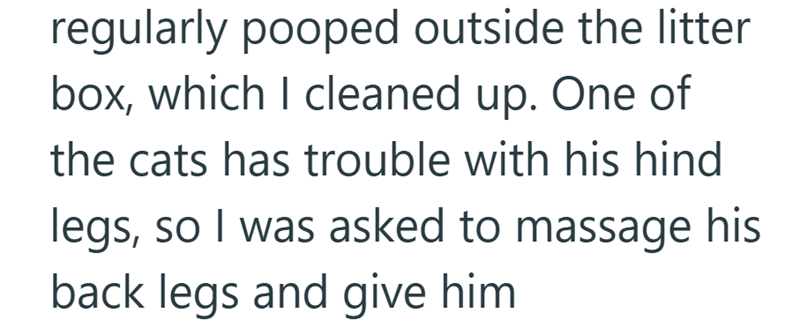 regularly pooped outside the litter box, which I cleaned up. One of the cats has trouble with his hind legs, so I was asked to massage his back legs and give him