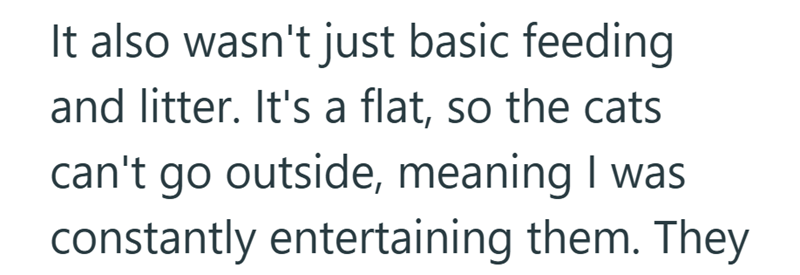 It also wasn't just basic feeding and litter. It's a flat, so the cats can't go outside, meaning I was constantly entertaining them. They