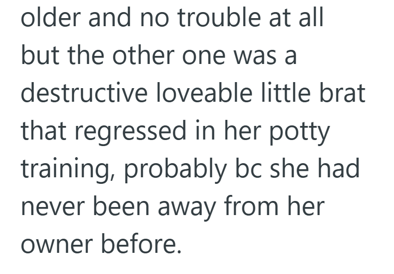 older and no trouble at all but the other one was a destructive loveable little brat that regressed in her potty training, probably bc she had never been away from her owner before.