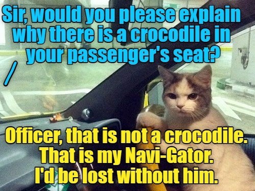 Sir, would you please explain why there is a crocodile in your passenger's seat? Officer, that is not a crocodile. That is my Navi-Gator. I'd be lost without him.
