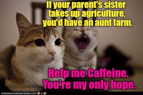 If your parent's sister takes up agriculture, you'd have an aunt farm. ICANHASCHEEZBURGER.COM: Help me Caffeine. You're my only hope.
