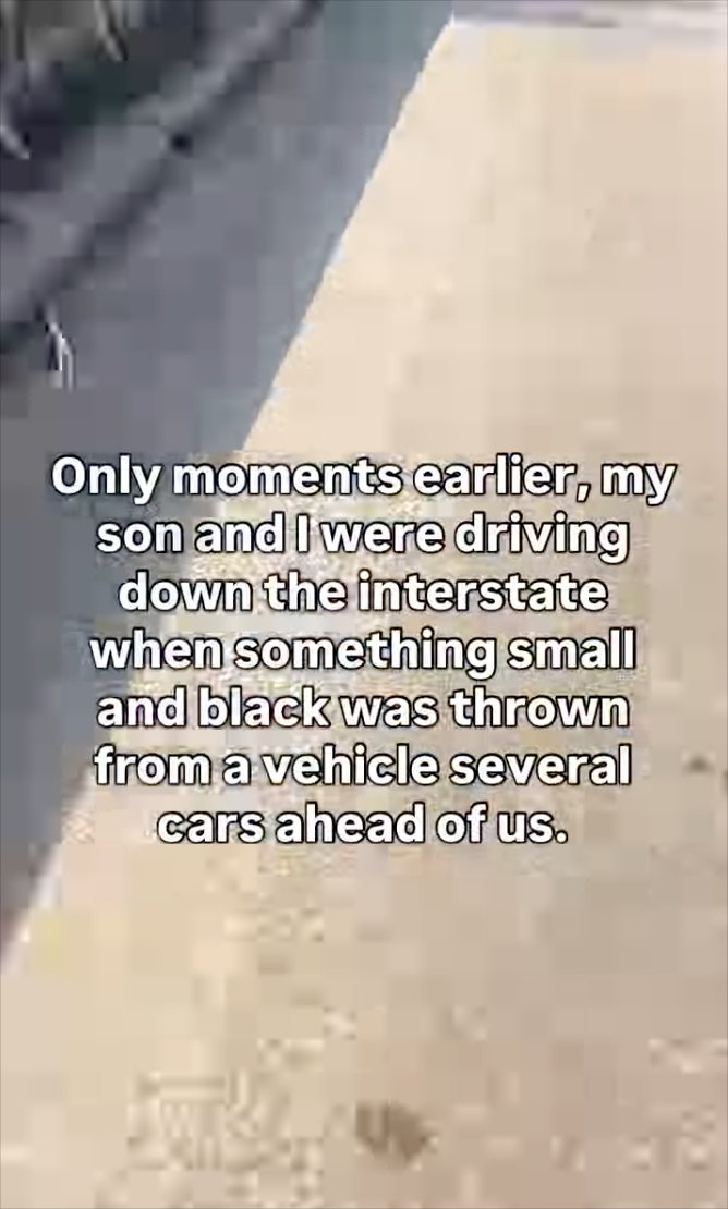 Only moments earlier, my son and I were driving down the interstate when something small and black was thrown from a vehicle several cars ahead of us.