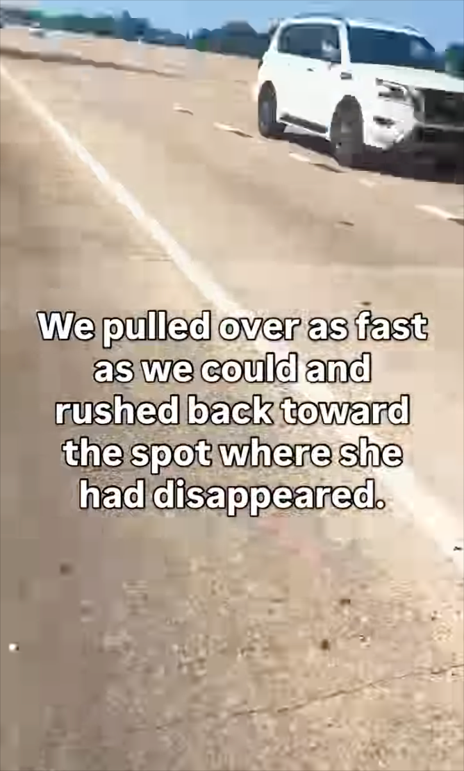 We pulled over as fast as we could and rushed back toward the spot where she had disappeared.