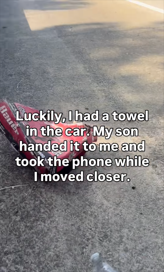 Luckily, I had a towel in the car. My son handed it to me and took the phone while I moved closer. Hauter