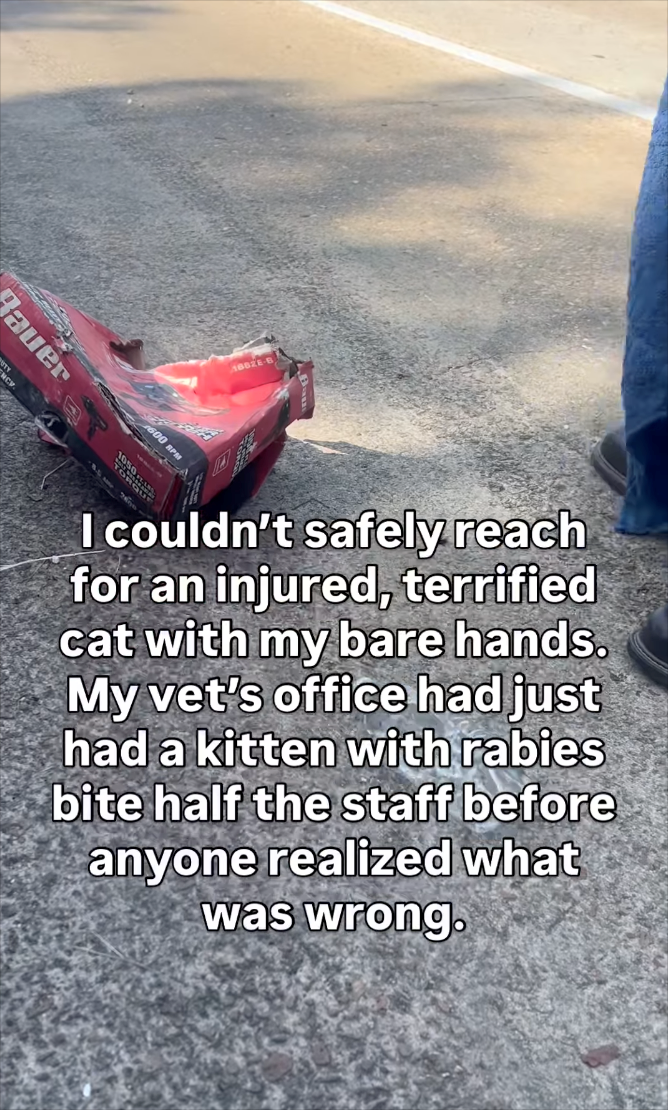 Bauer 1662 I couldn't safely reach for an injured, terrified cat with my bare hands. My vet's office had just had a kitten with rabies bite half the staff before anyone realized what was wrong.