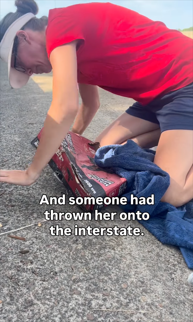 And someone had thrown her onto the interstate.