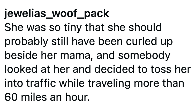 jewelias_woof_pack She was so tiny that she should probably still have been curled up beside her mama, and somebody looked at her and decided to toss her into traffic while traveling more than 60 miles an hour.