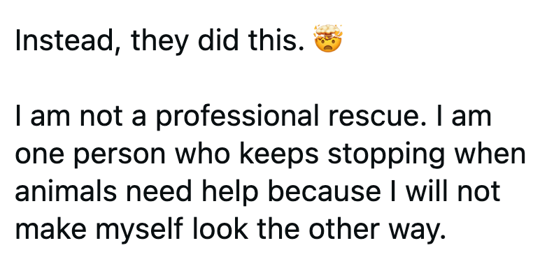 Instead, they did this. I am not a professional rescue. I am one person who keeps stopping when animals need help because I will not make myself look the other way.