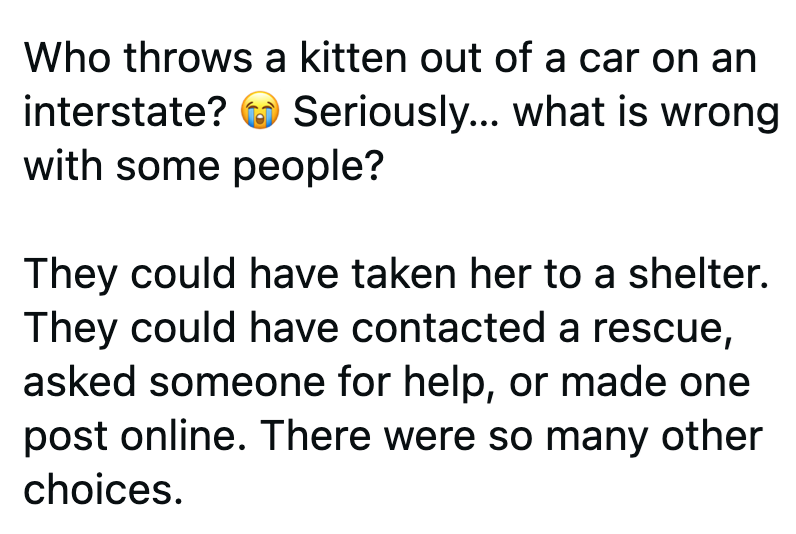 Who throws a kitten out of a car on an interstate? Seriously... what is wrong with some people? They could have taken her to a shelter. They could have contacted a rescue, asked someone for help, or made one post online. There were so many other choices.